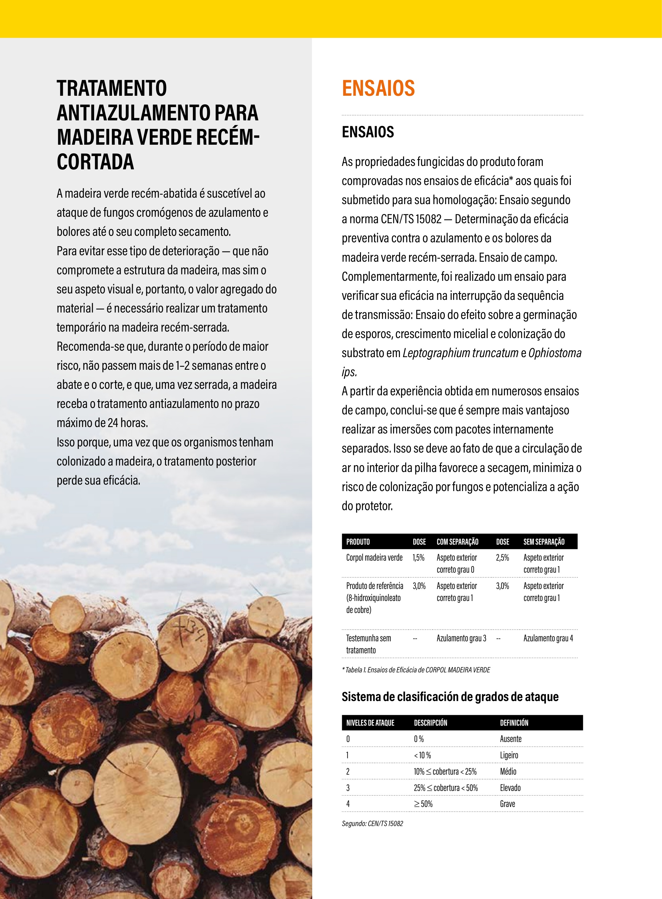 Tratamento antiazulamento para madeira recém-cortada